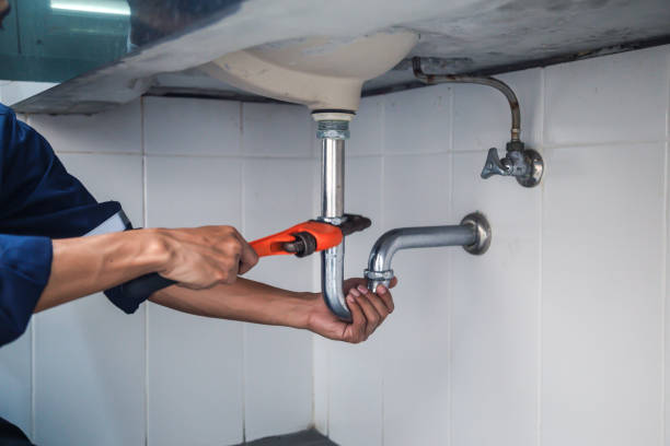 Best Same-Day Plumbing Service  in Allendale, MI