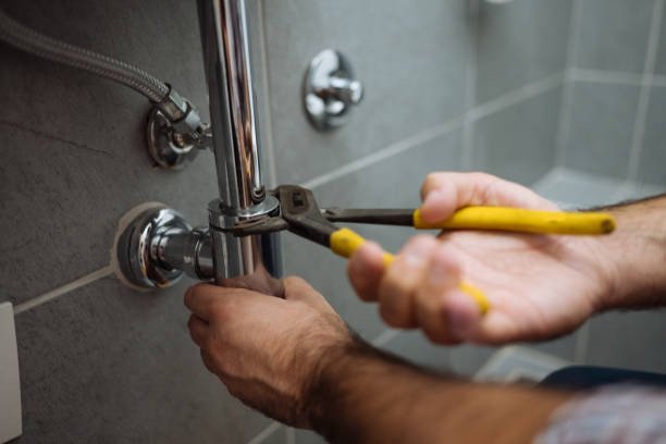 Best Septic Systems  in Allendale, MI