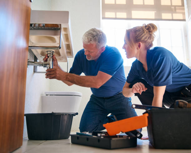 Best Affordable Plumbing Services  in Allendale, MI